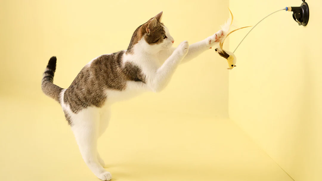 Welcome to Our Store