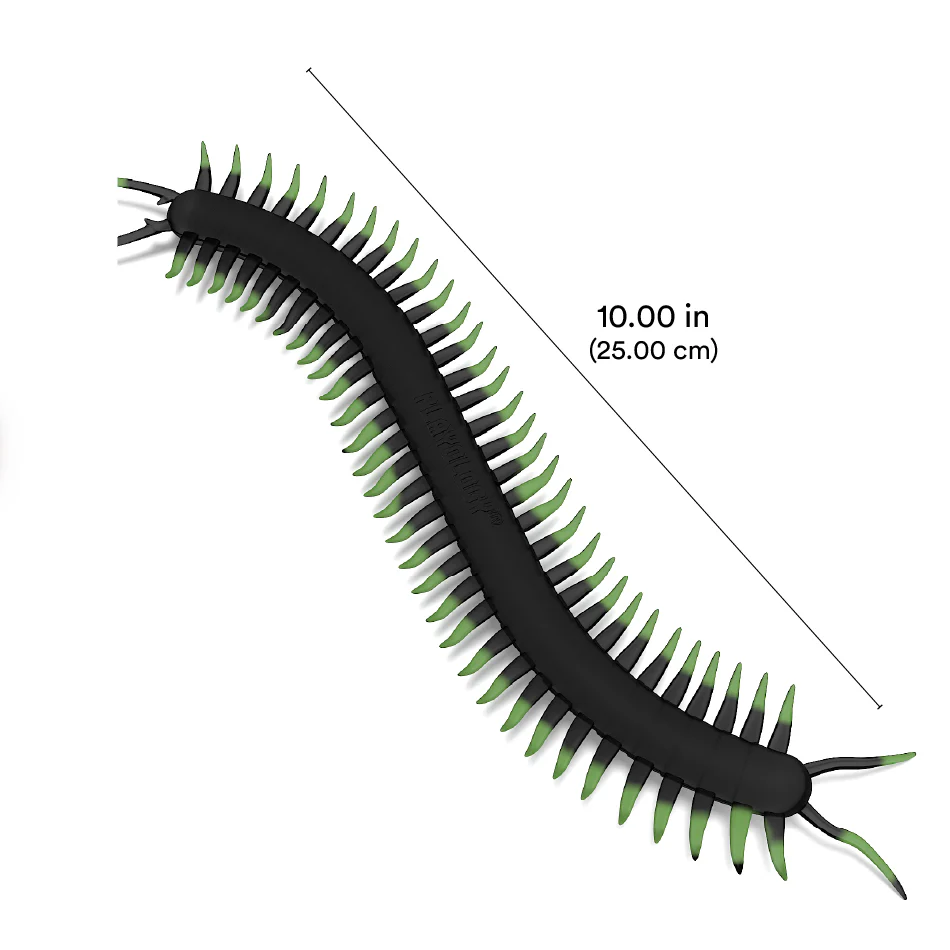 Centipede - Image 4