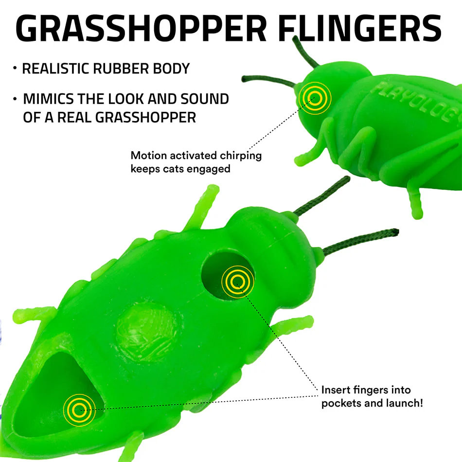 Chirping Grasshoppers - Image 3