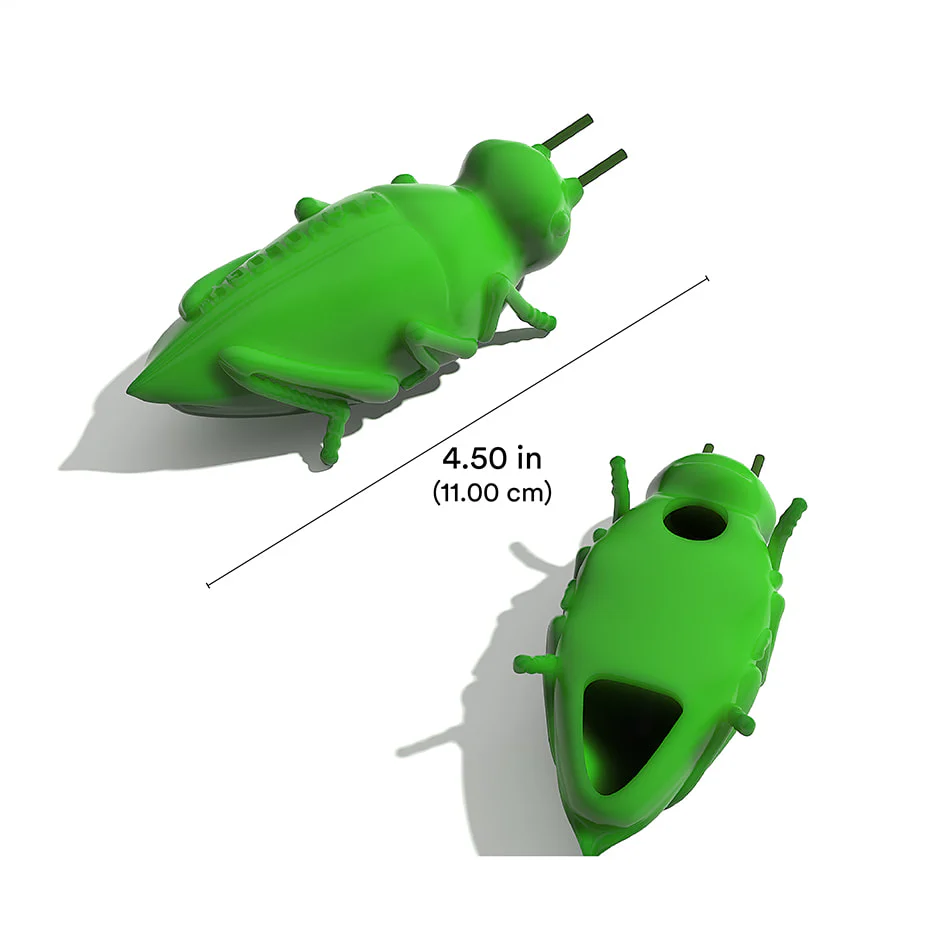 Chirping Grasshoppers - Image 4