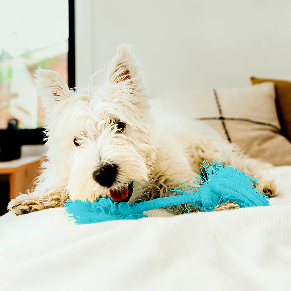 Dri-Tech Rope - Image 26