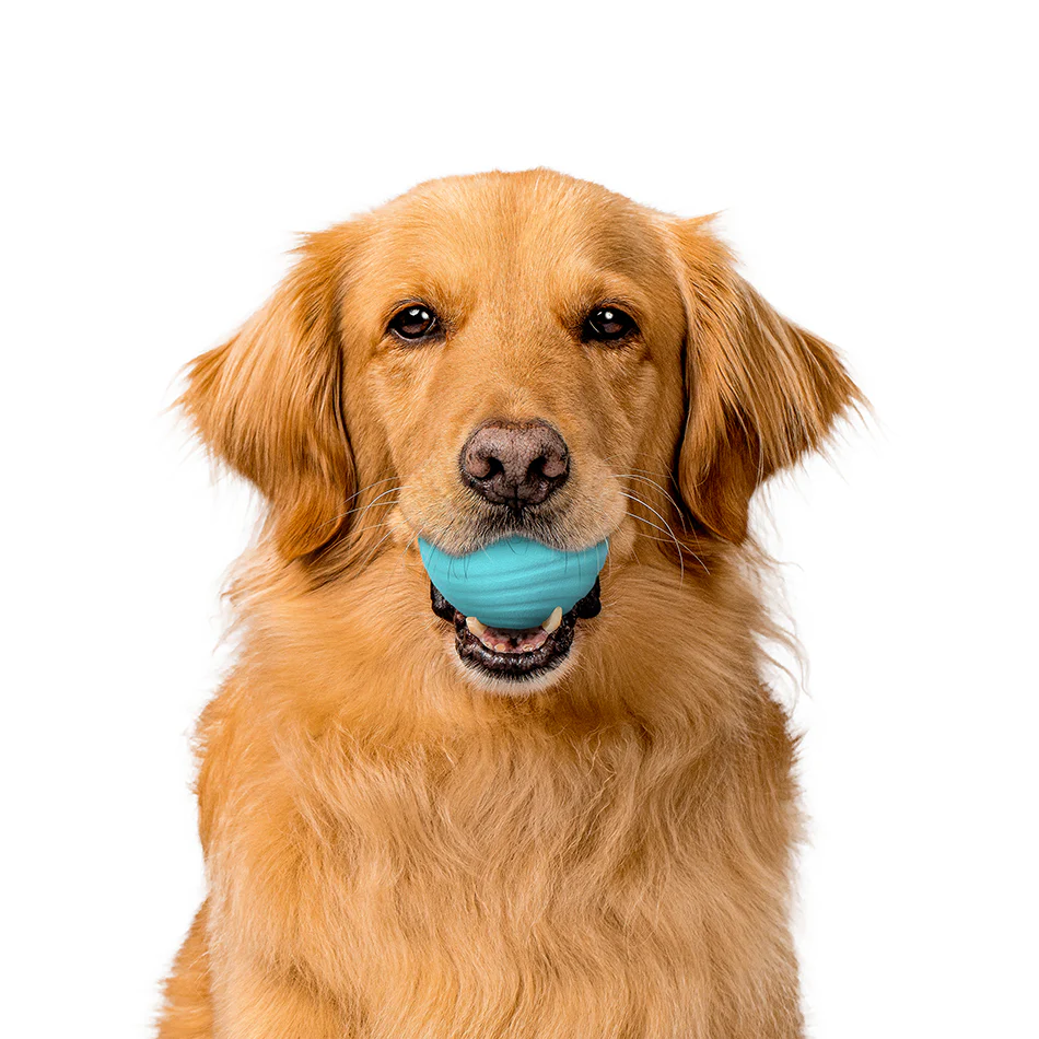 Dual Layer Ball - Image 7