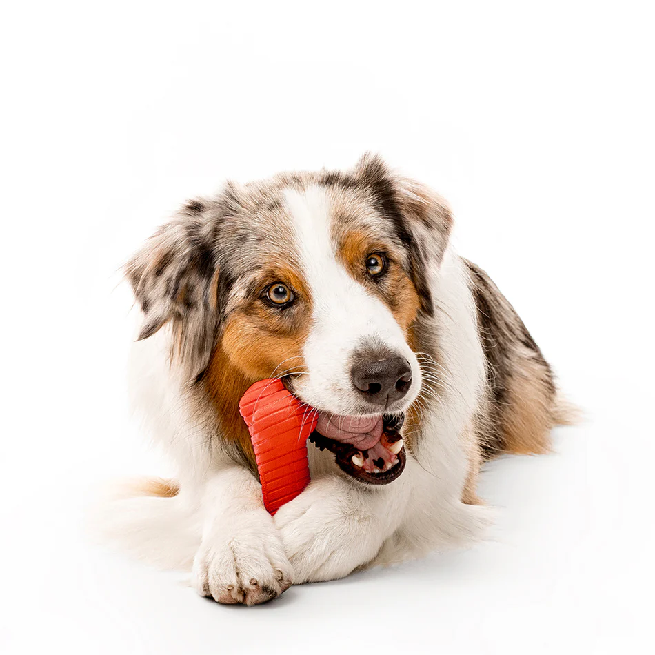 Dual Layer Bone - Image 20