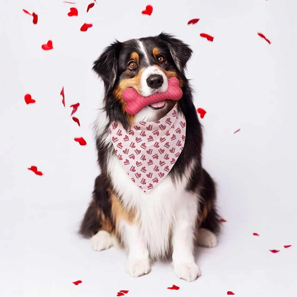 Dual Layer Bone | Red Velvet - Image 5