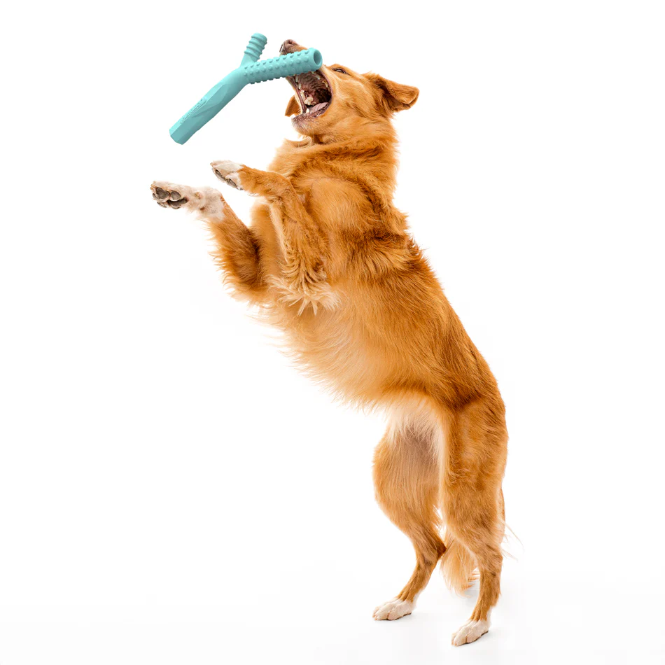 Fetch Stick - Image 8