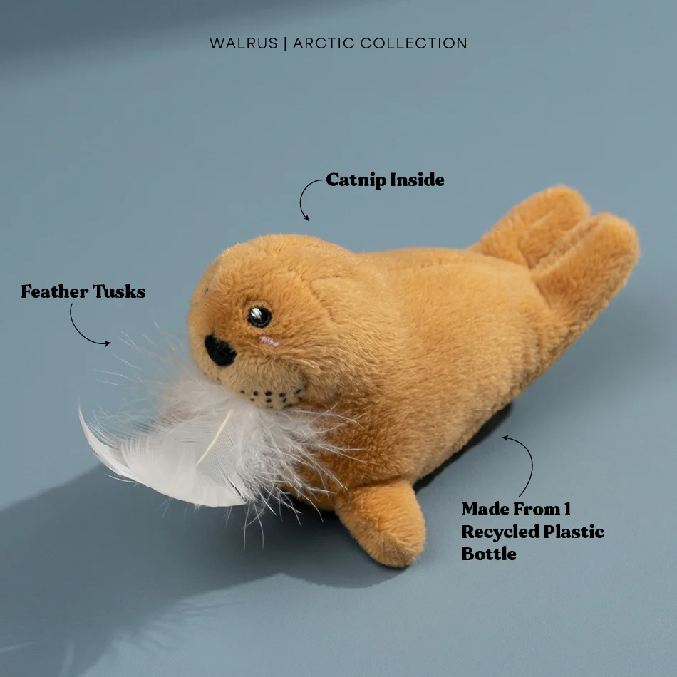 Walter the Walrus - Cat - Image 4