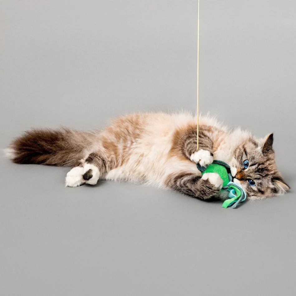 Tilly the Turtle Teaser - Image 3