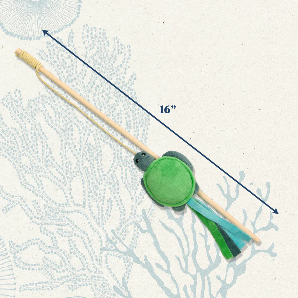 Tilly the Turtle Teaser - Image 4