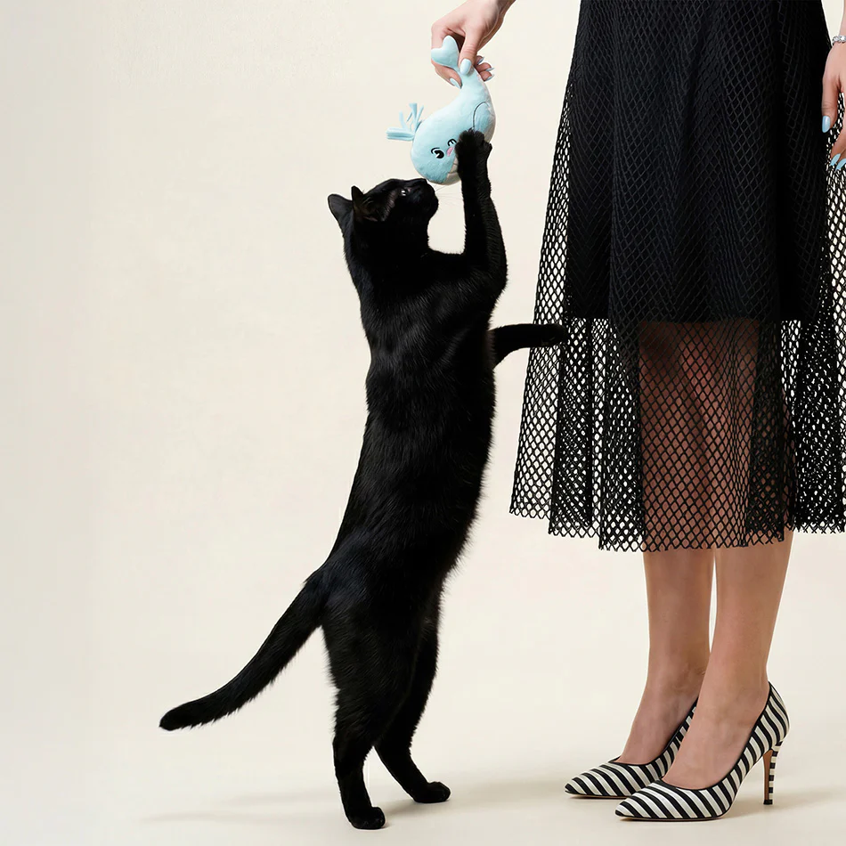 Wendy the Whale Kicker - Image 3