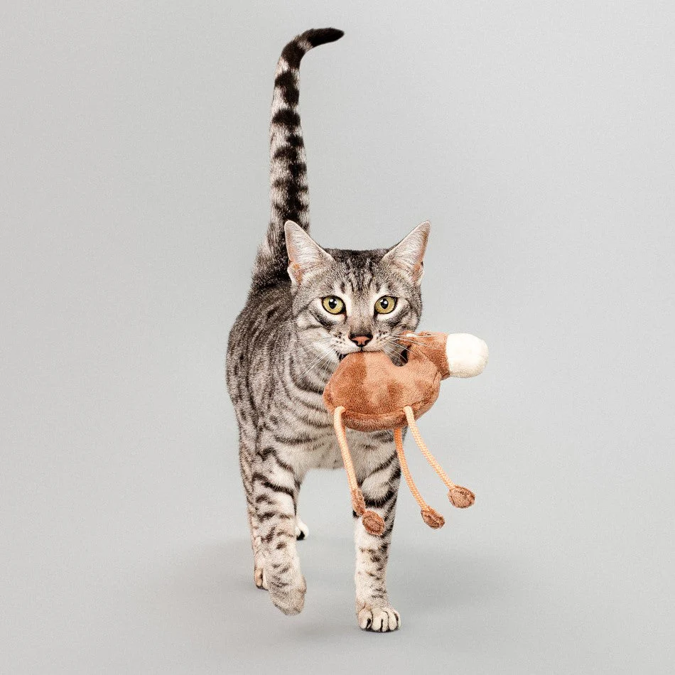 Calvin the Camel - Cat - Image 3