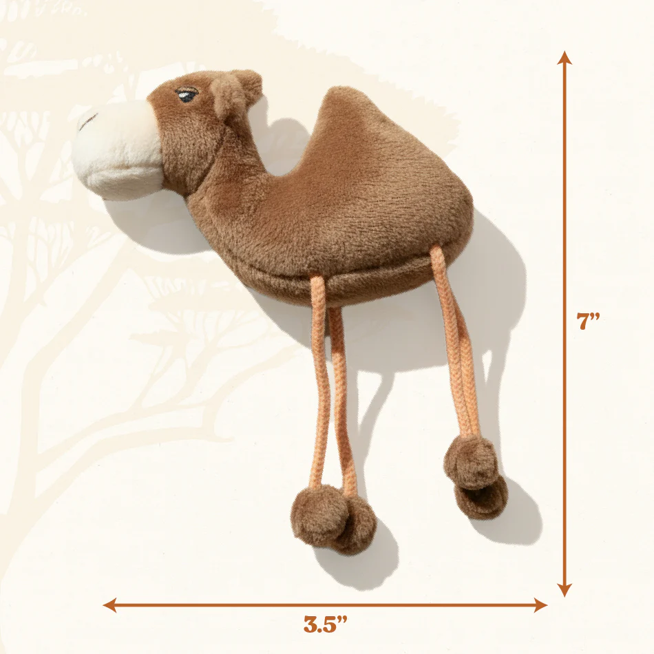 Calvin the Camel - Cat - Image 4