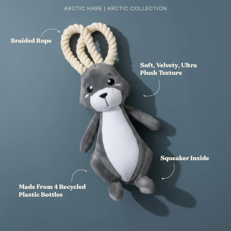 Artie the Arctic Hare - Image 6