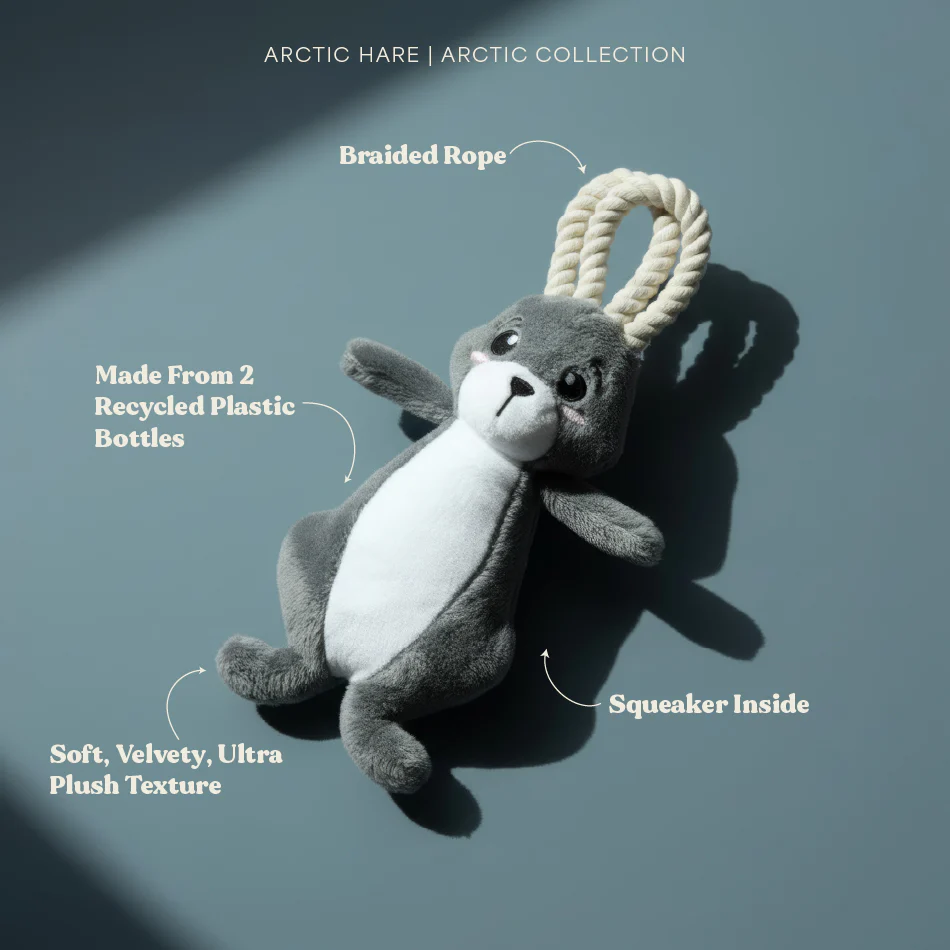 Artie the Arctic Hare - Image 8