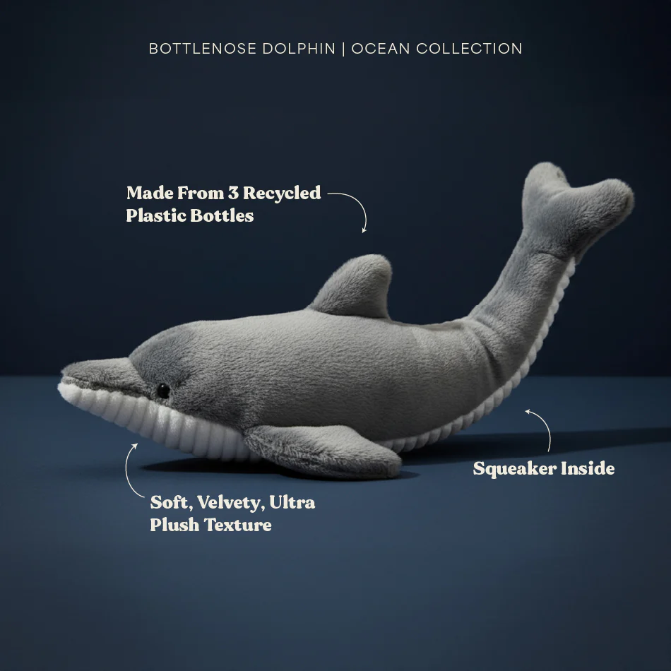 Destiny the Dolphin - Image 3
