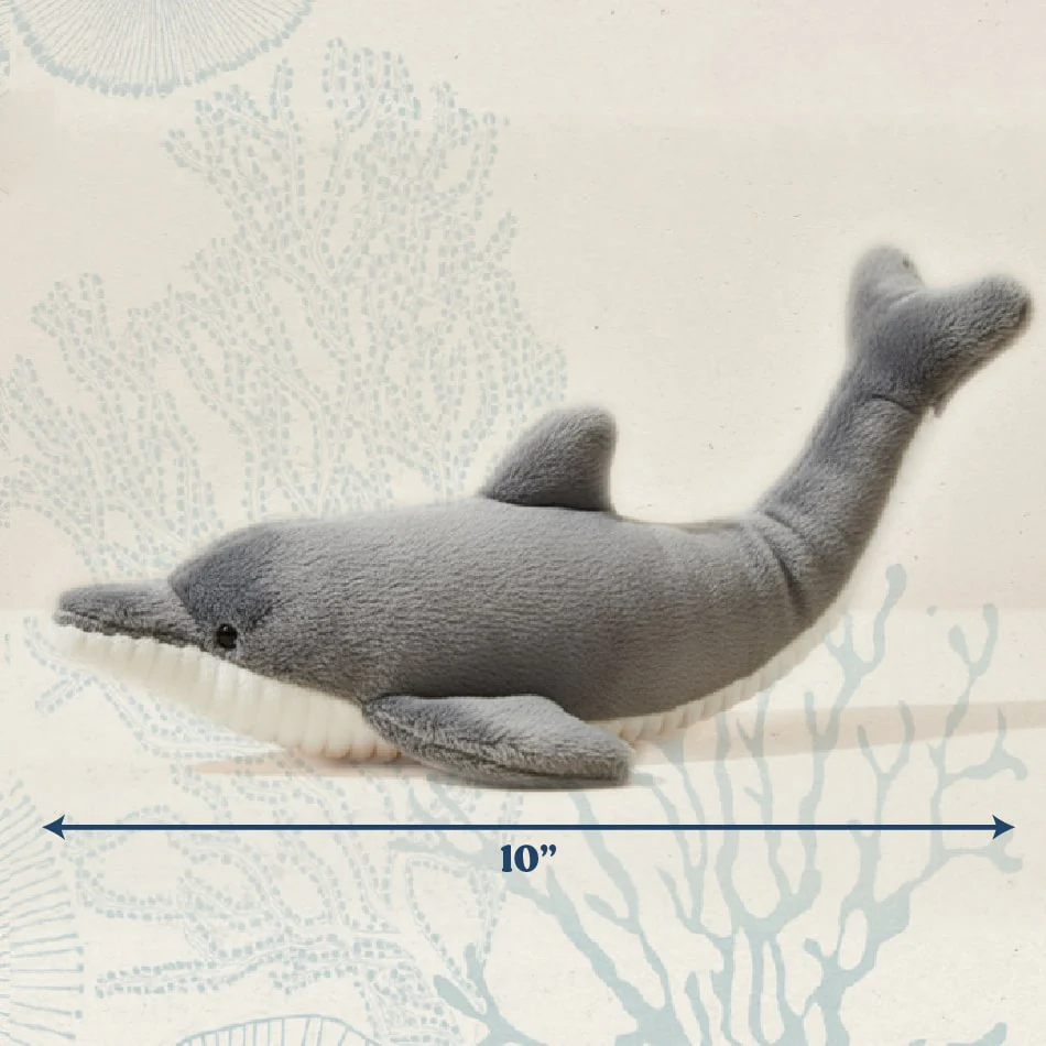 Destiny the Dolphin - Image 5