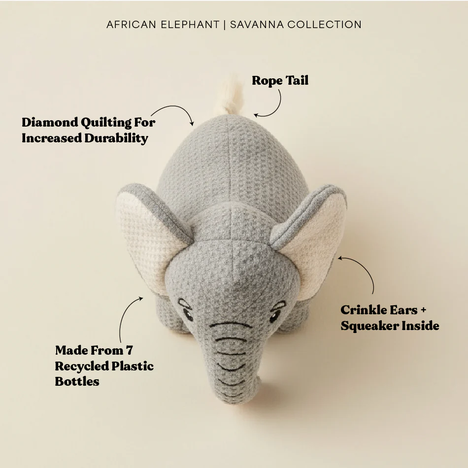 Ellie the Elephant - Image 11