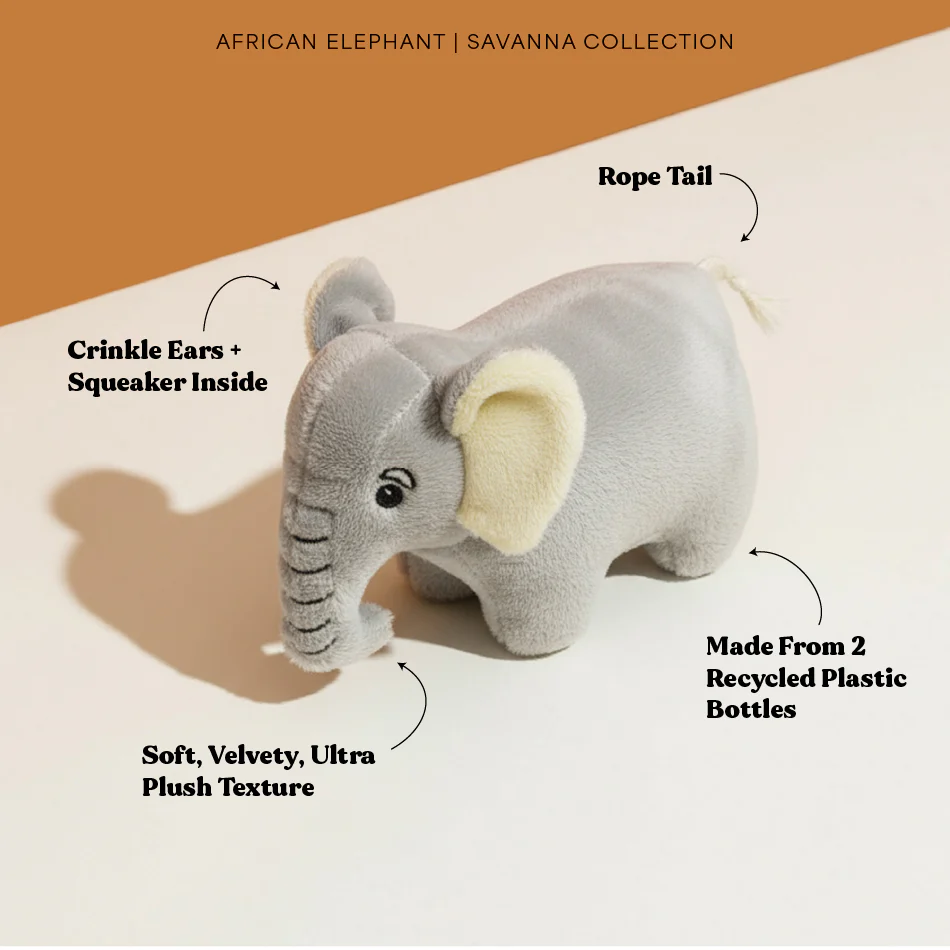 Ellie the Elephant - Image 12