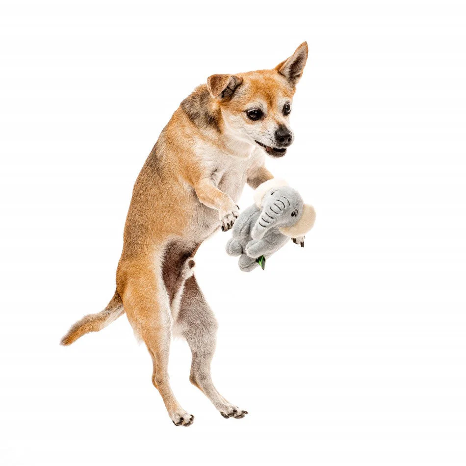 Ellie the Elephant - Image 4