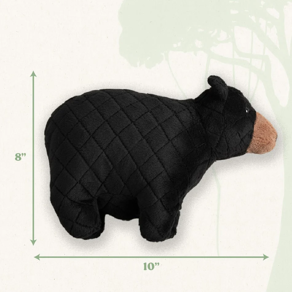 Brandy the Black Bear - Image 3