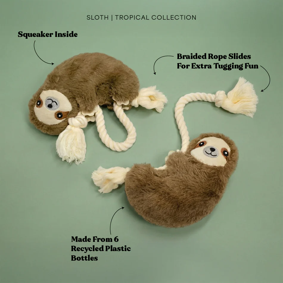 Syd the Sloth - Image 3