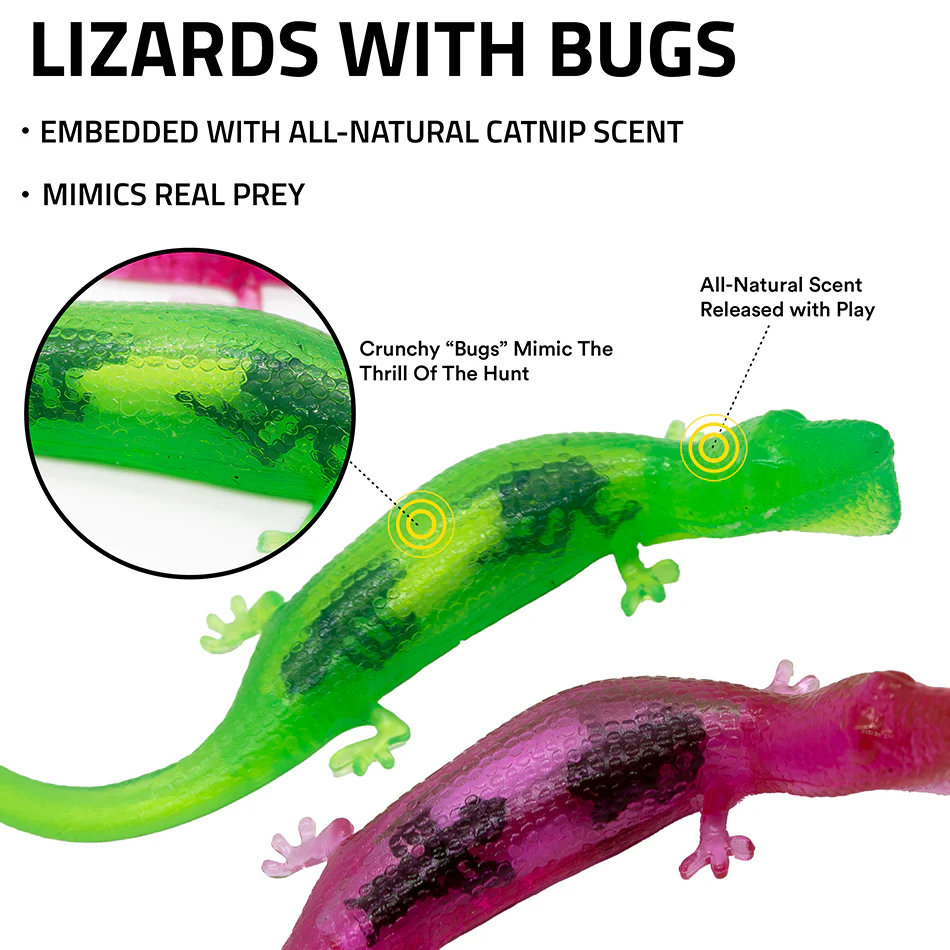 Lizards with Bugs - Image 3