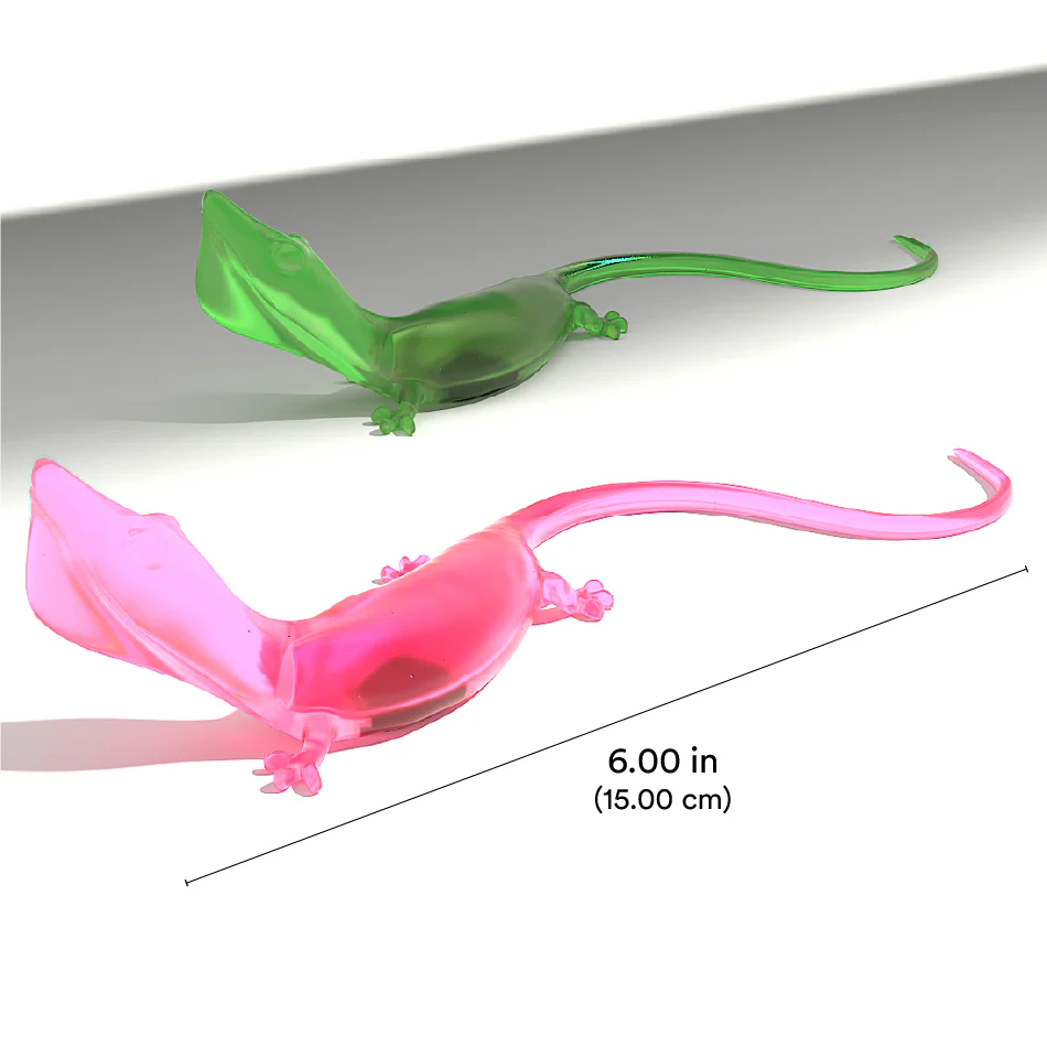 Lizards with Bugs - Image 4