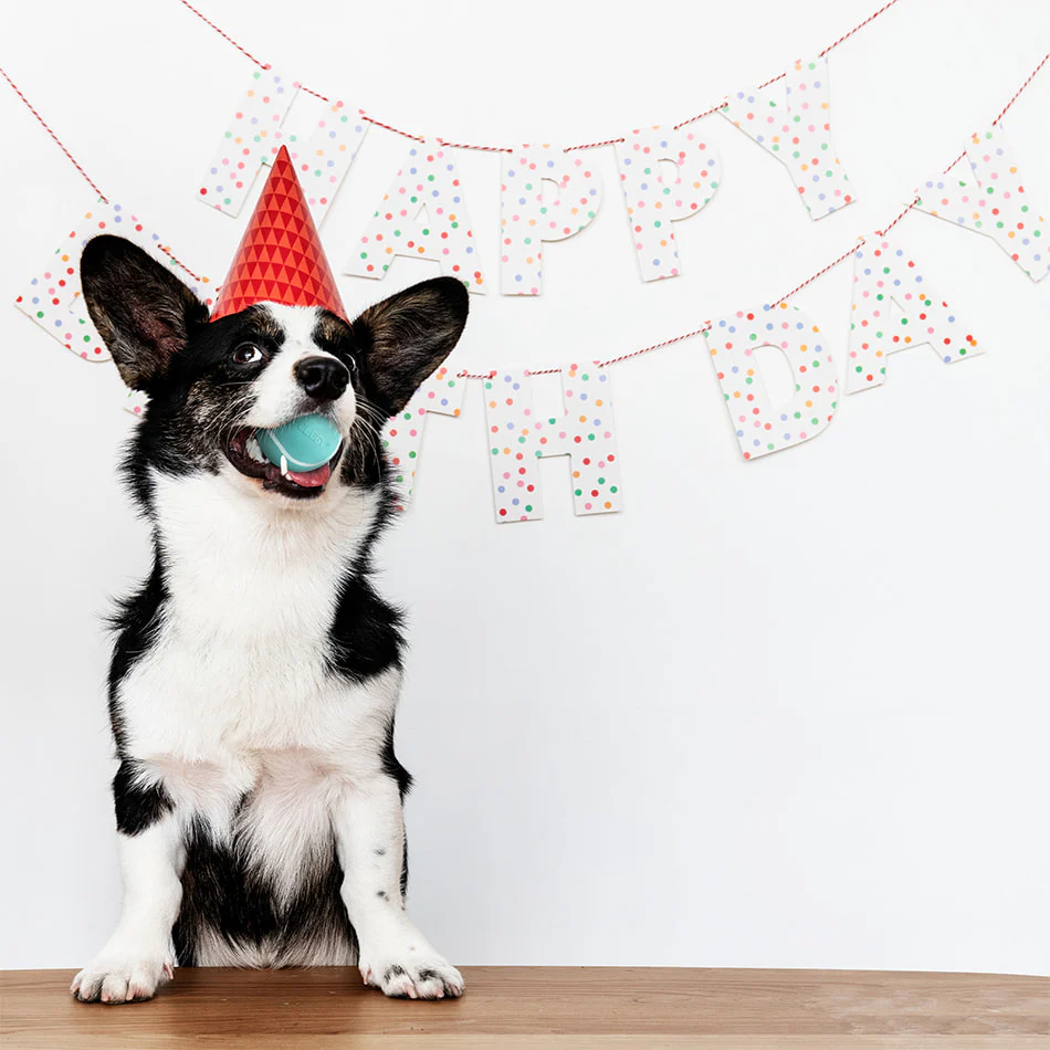 Medium Birthday Gift Set - Peanut Butter - Image 4