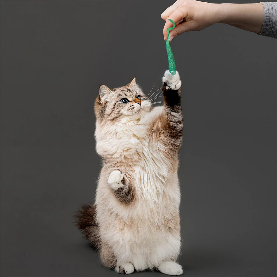 2-pack Minnows - Image 3