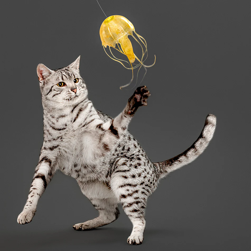 Jellyfish Teaser - Image 3