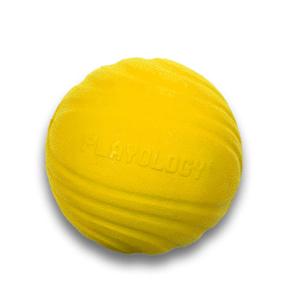 Dual Layer Ball - Image 3