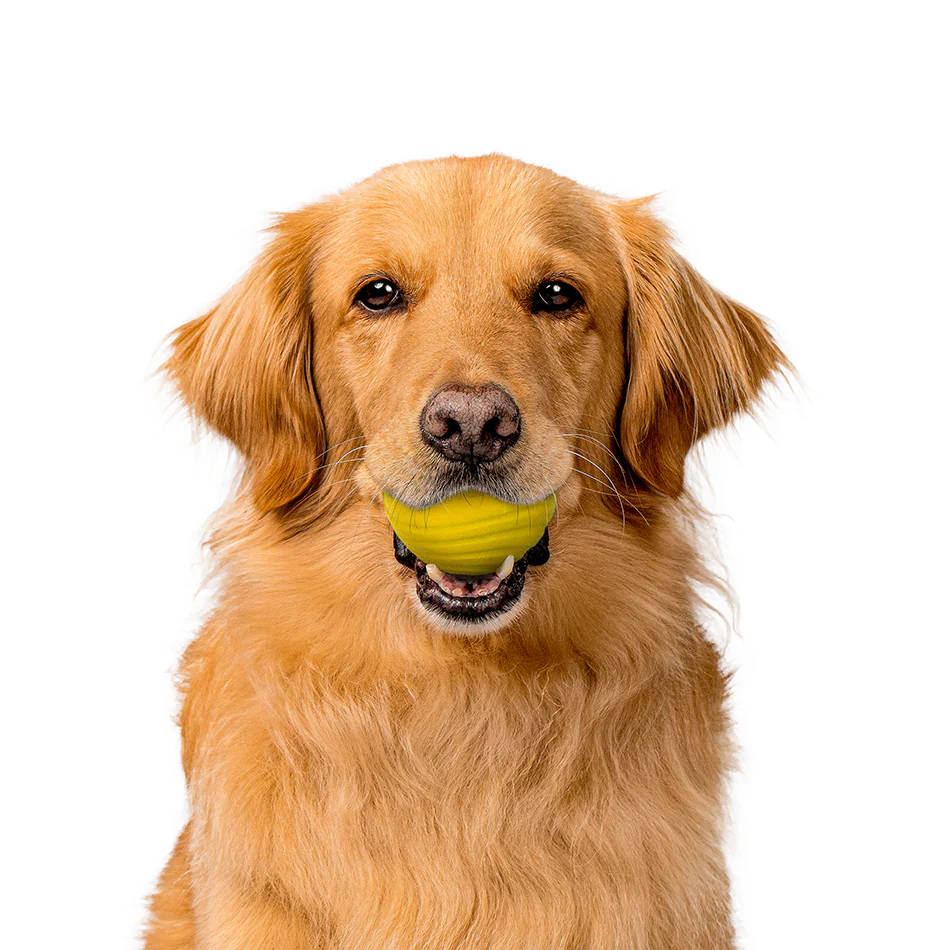 Dual Layer Ball - Image 9