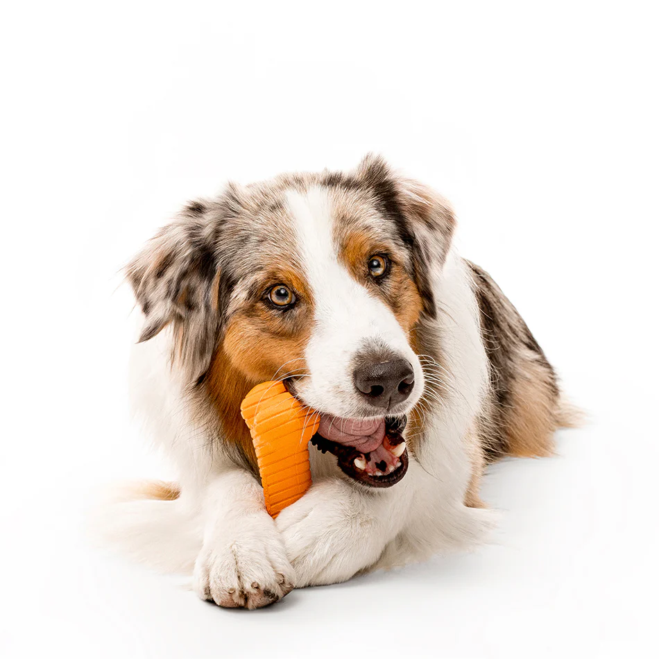 Dual Layer Bone - Image 13