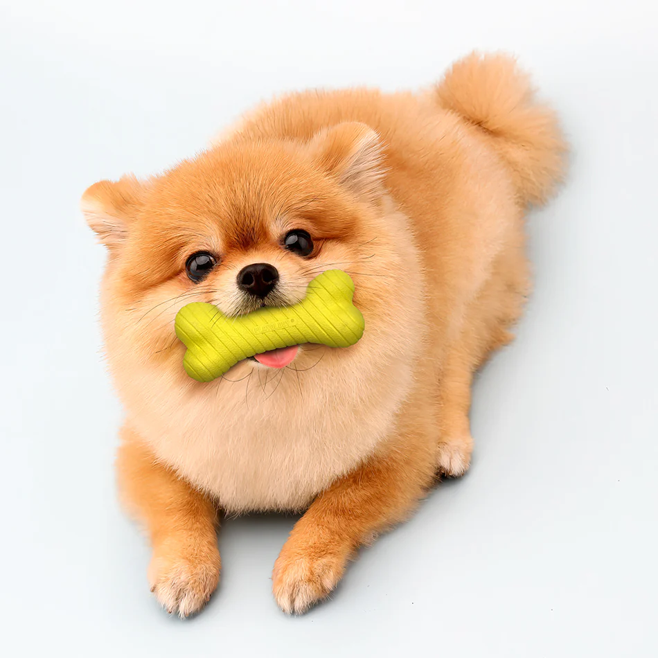 Dual Layer Bone - Image 15