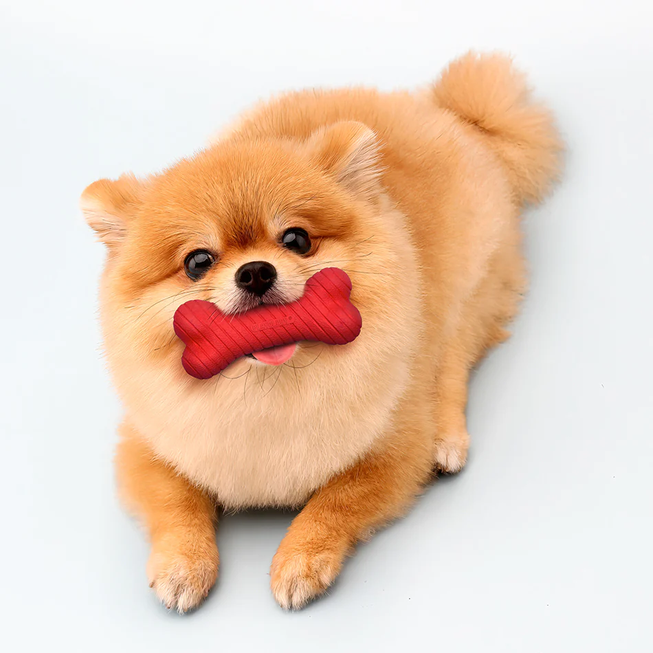 Dual Layer Bone - Image 16