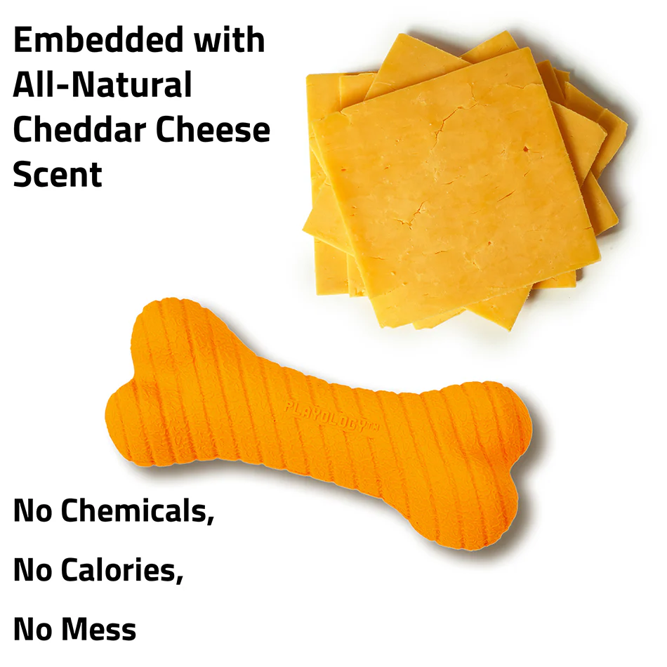 Dual Layer Bone - Image 22