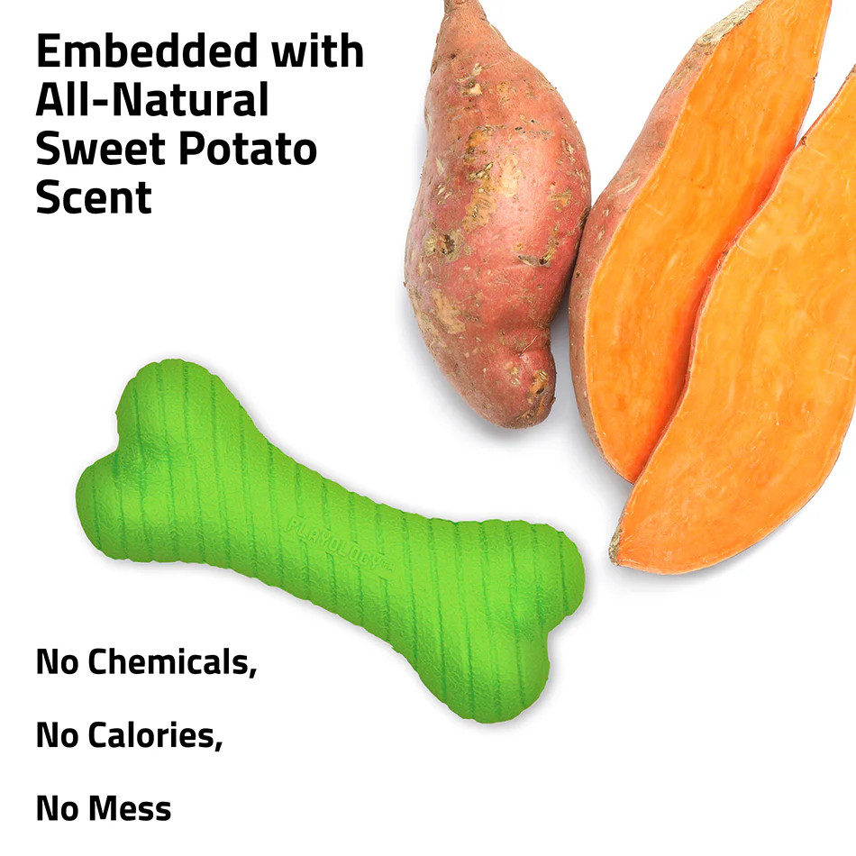 Dual Layer Bone - Image 27