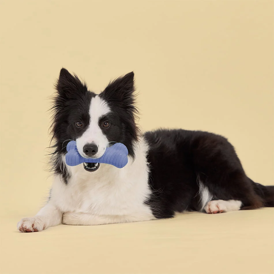 Dual Layer Bone - Image 32