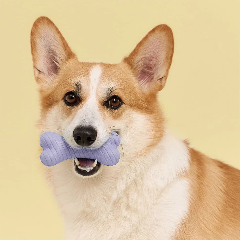 Dual Layer Bone - Image 36