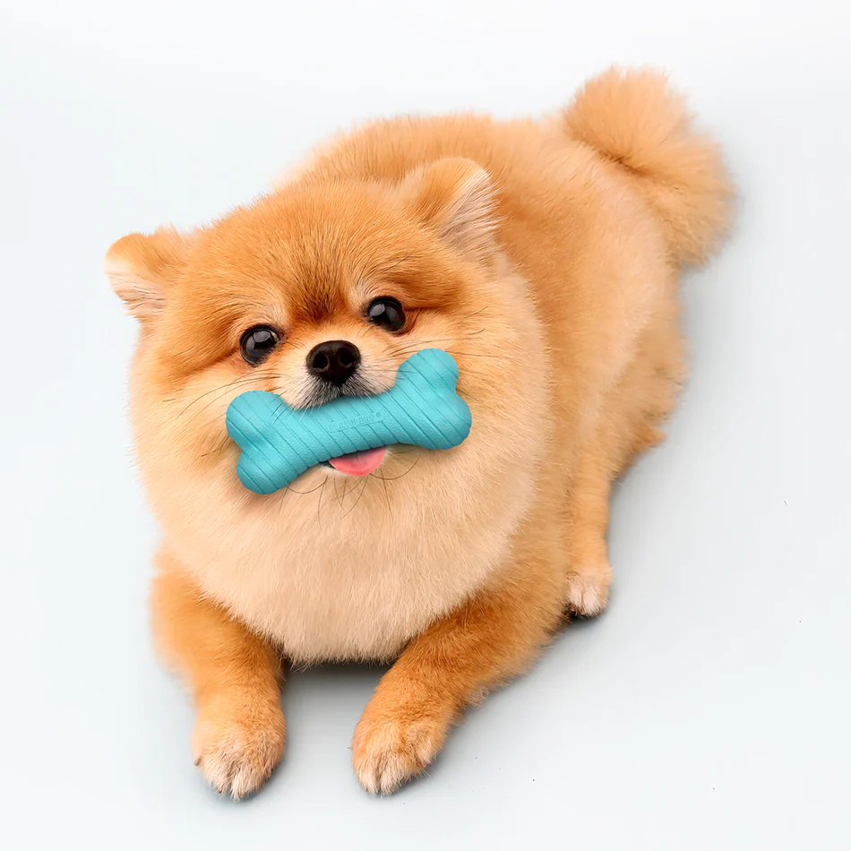 Dual Layer Bone - Image 6