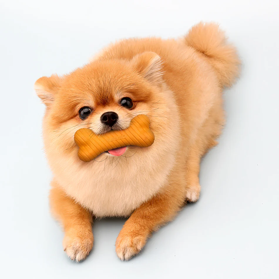 Dual Layer Bone - Image 7