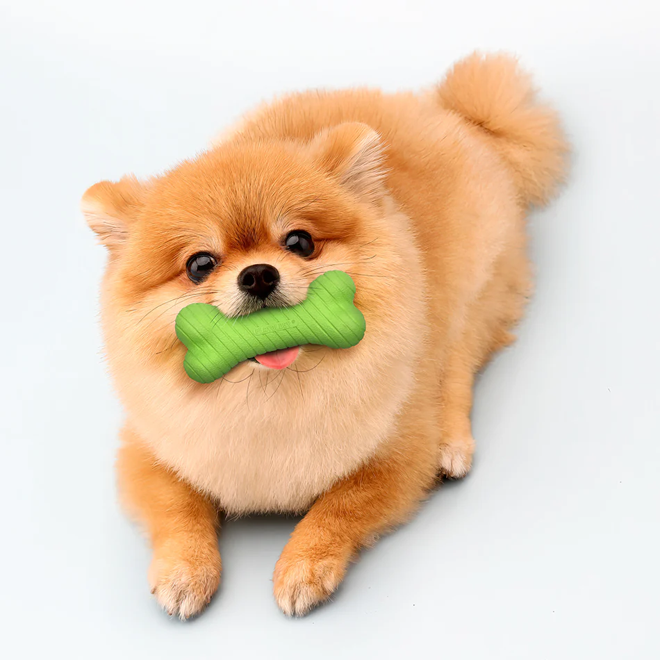 Dual Layer Bone - Image 8