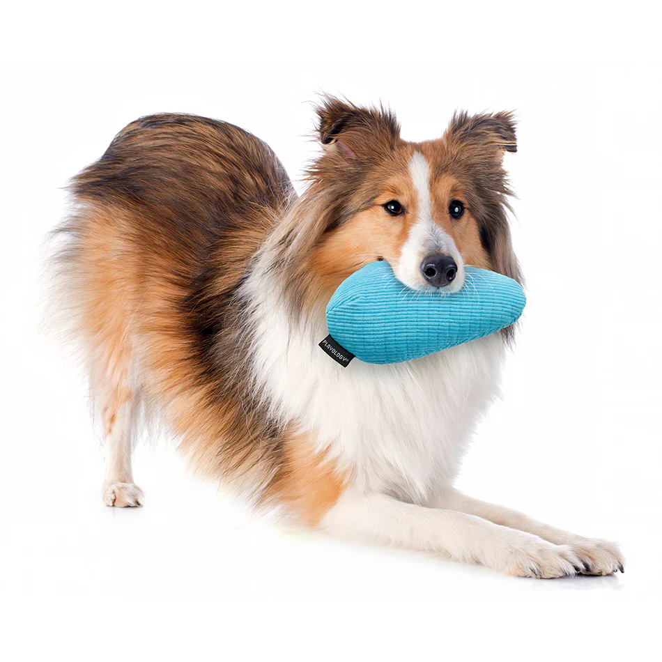 Crinkle Egg - Image 7