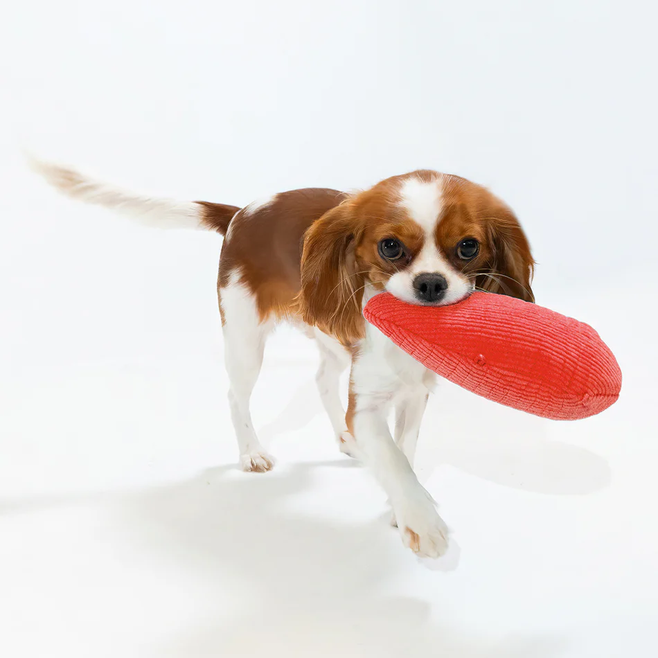 Crinkle Egg - Image 8