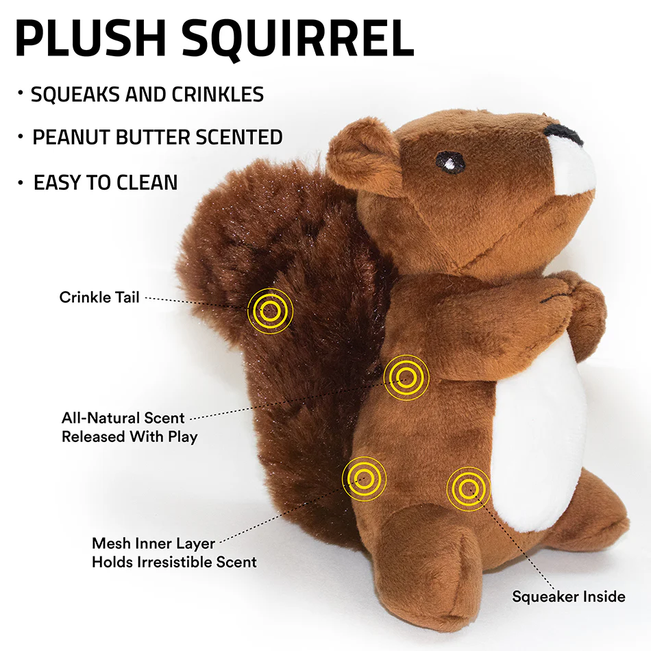 Plush Squirrel - Image 4