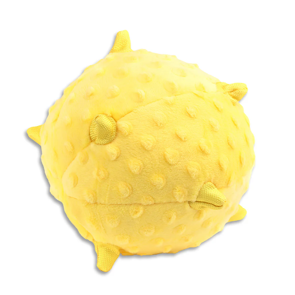 Sensory Ball - Image 14