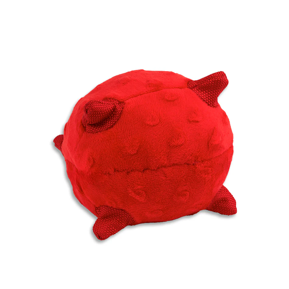 Sensory Ball - Image 15