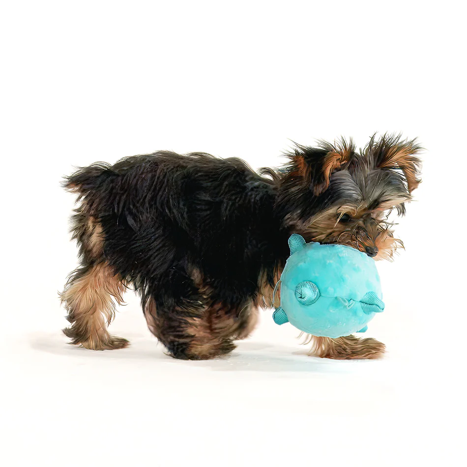 Sensory Ball - Image 18