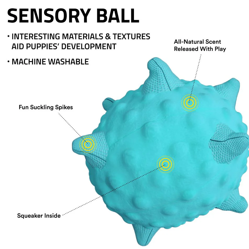 Sensory Ball - Image 3