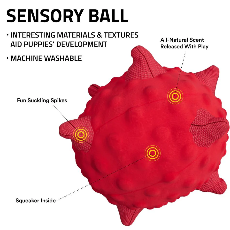 Sensory Ball - Image 4