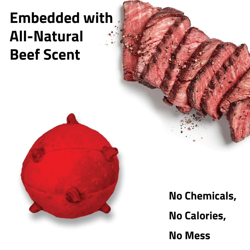 Sensory Ball - Image 5